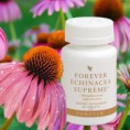 /album/galeria/forever-echinacea-supreme-jpg1/